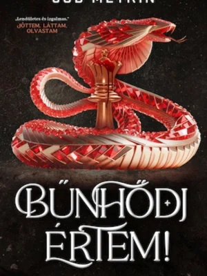 Jud Meyrin - Bűnhődj értem!