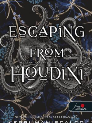 Escaping from Houdini