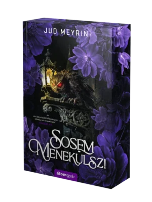 Jud Meyrin - Sosem menekülsz!