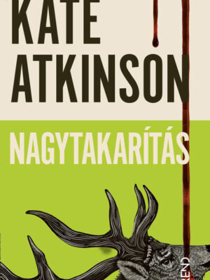 Nagytakarítás