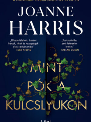 Mint pók a kulcslyukon