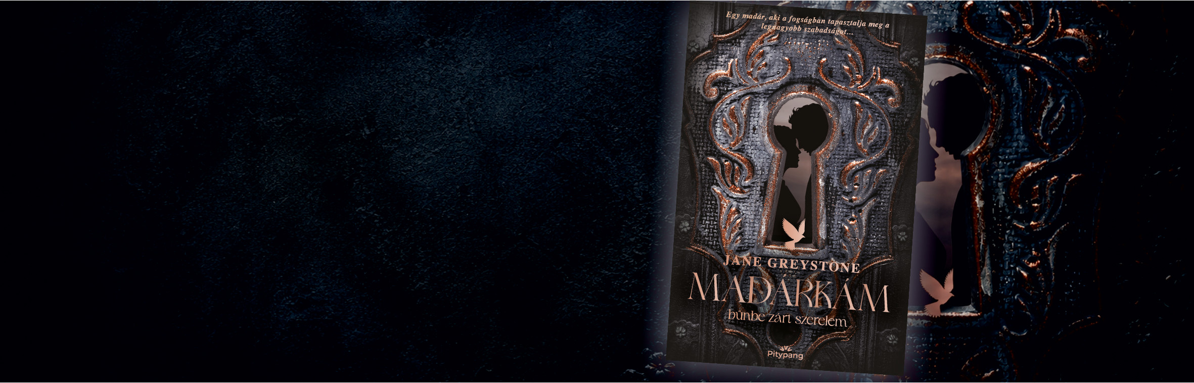 Jane Greystone - Madárkám – Bűnbe zárt szerelem