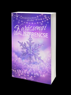 Karácsonyi (bal)szerencse