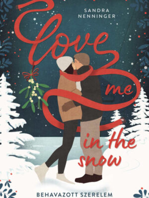 Love me in the snow - Behavazott szerelem