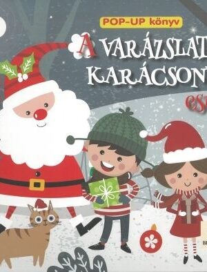 Varázslatos karácsonyi este - Pop-Up könyv